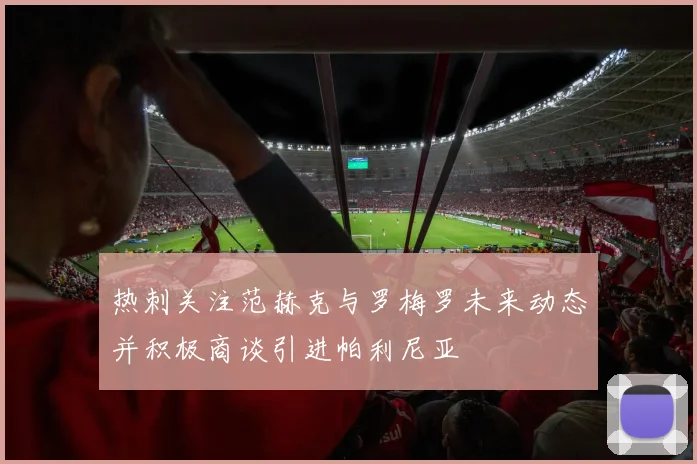 热刺关注范赫克与罗梅罗未来动态并积极商谈引进帕利尼亚