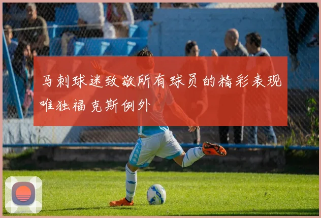 马刺球迷致敬所有球员的精彩表现唯独福克斯例外